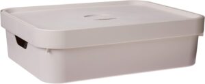 OU CC 550 BGF Caixa Organizadora com Tampa, Bege, Grande/Baixa, 1 Unidade