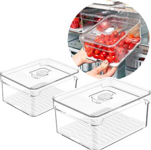 Kit 2 Organizadores Geladeira Armário Alimentos Vegetais 2,2 Litros